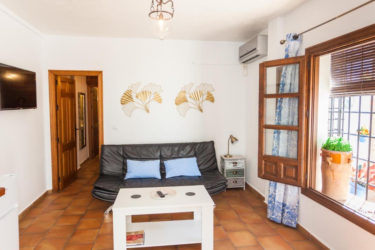 Casa Larga Apartment Granada Bagian luar foto